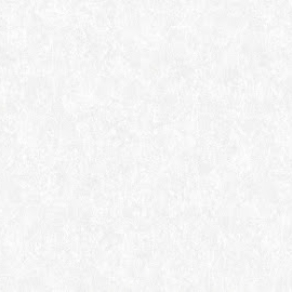 8748-1